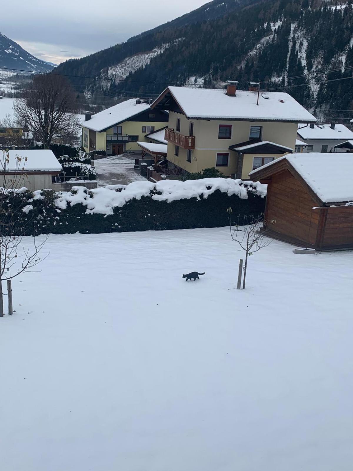 Panorama Apartments Semslach Obervellach Eksteriør billede