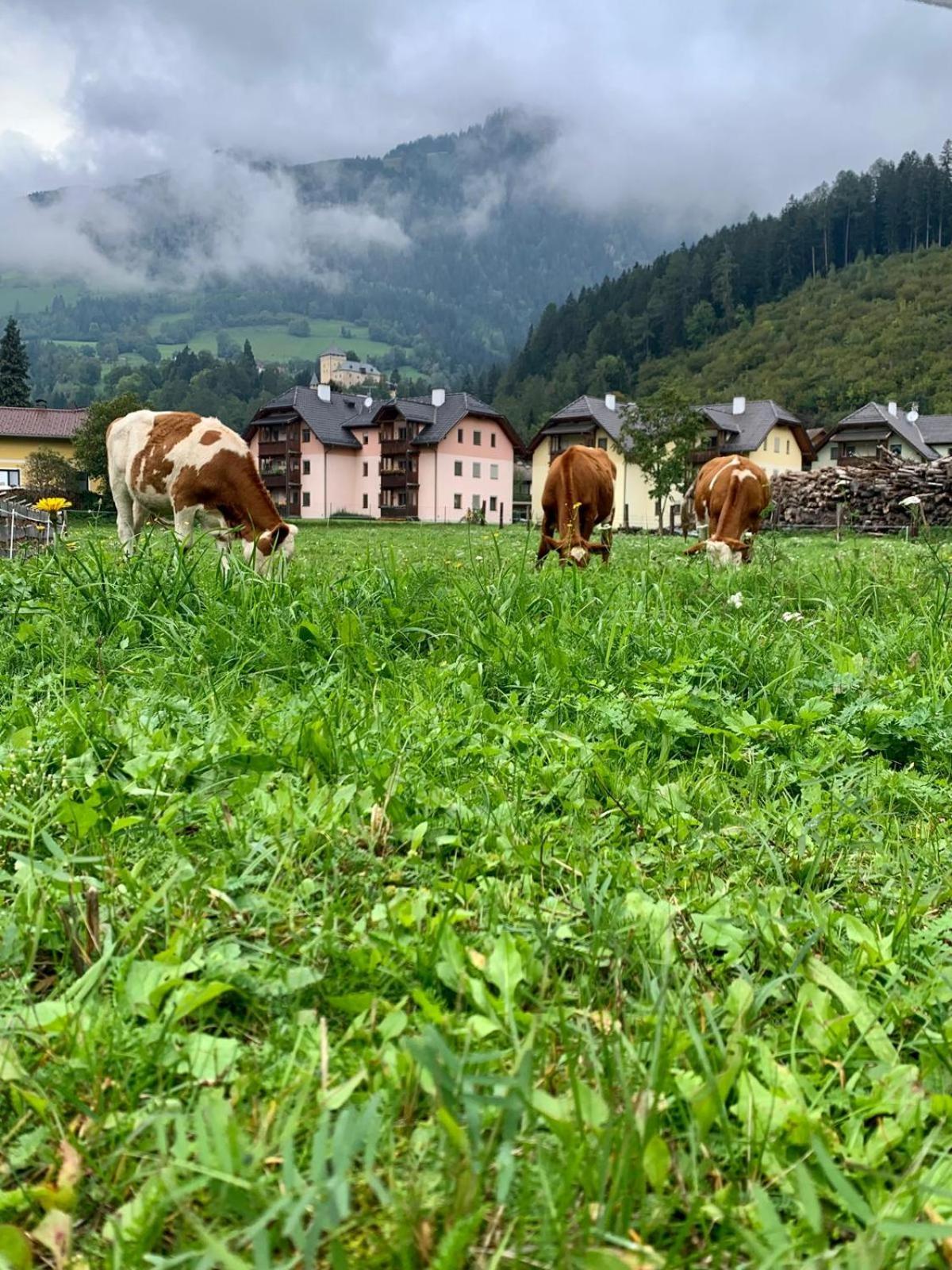 Panorama Apartments Semslach Obervellach Eksteriør billede